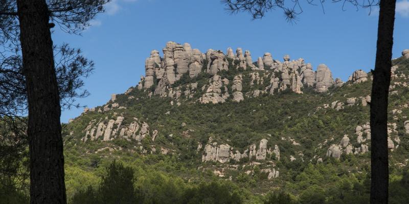 Visió de les Agulles des del Camí de les Batalles, al Bruc. FOTO: Catalunya-Palau Robert Visió de les Agulles des del Camí de les Batalles, al Bruc. FOTO: Catalunya-Palau Robert