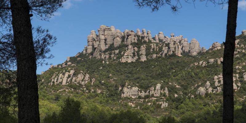 Visió de les Agulles des del Camí de les Batalles, al Bruc. FOTO: Catalunya-Palau Robert