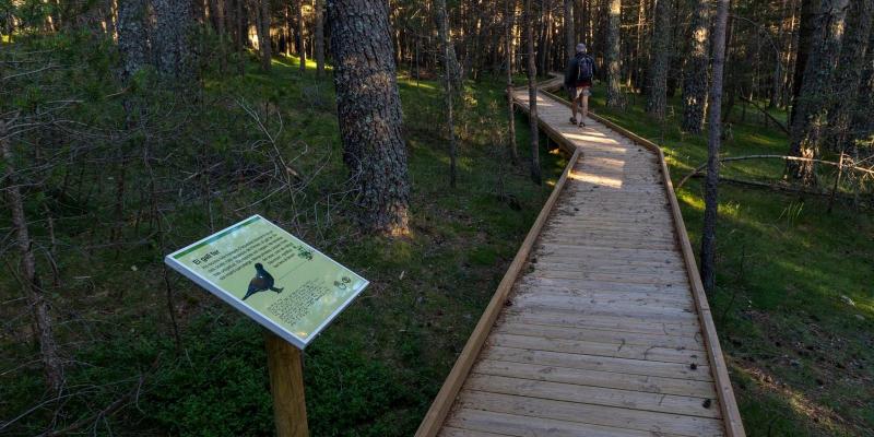 Montferrer i Castellbò. Plafons d'informació de l'entorn. FOTO: Catalunya-Palau Robert