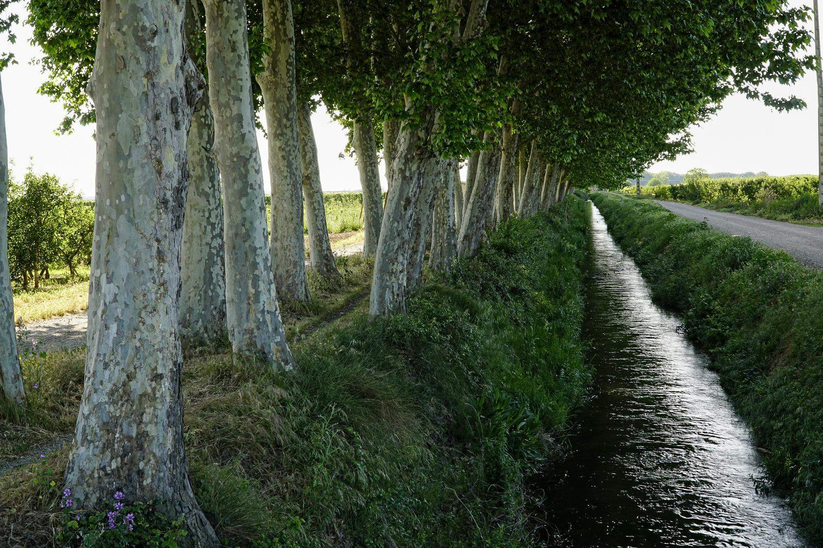 Vilanova de Bellpuig. Sèquia Tercera Urgell. FOTO: Catalunya-Palau Robert