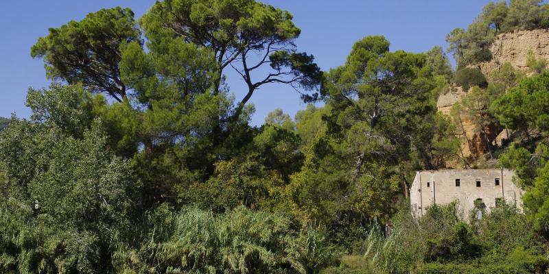 Cabrera d'Anoia. Molí paperer de Can Ferrer. Meandre del Bedorc. FOTO: Catalunya - Palau Robert