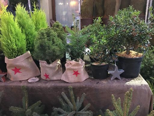 Fira de l'Avet a Espinelves FOTO Ajuntament d'Espinelves