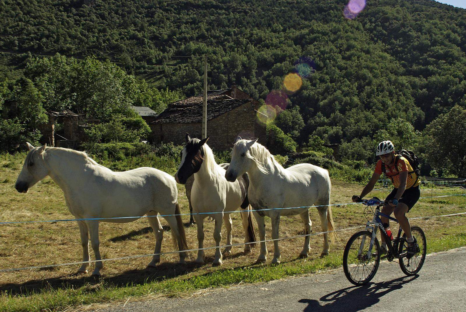 Les Valls d'Aguilar. FOTO: Catalunya - Palau Robert