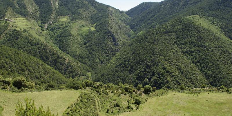 Baix Pallars. Entorns de Taús. FOTO: Catalunya - Palau Robert