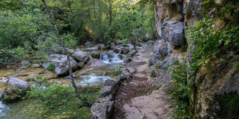 Montagut i Oix. Pas estret després del molí de Sant Aniol. FOTO: Catalunya - Palau Robert Montagut i Oix. Pas estret després del molí de Sant Aniol. FOTO: Catalunya - Palau Robert