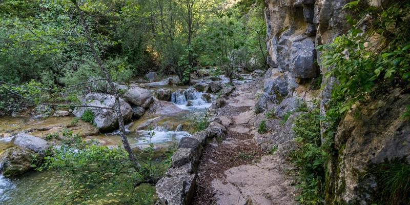 Montagut i Oix. Pas estret després del molí de Sant Aniol. FOTO: Catalunya - Palau Robert