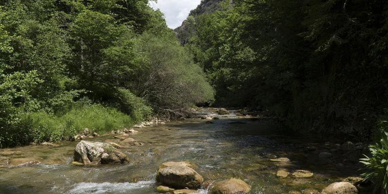 Gósol. El riu o aigua de Valls a Aigües Juntes. FOTO: Catalunya - Palau Robert