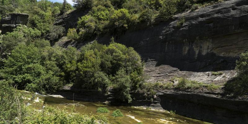 L'Esquirol. Riera de les Gorgues. Pas del Molí del Còdol. FOTO: Catalunya - Palau Robert L'Esquirol. Riera de les Gorgues. Pas del Molí del Còdol. FOTO: Catalunya - Palau Robert