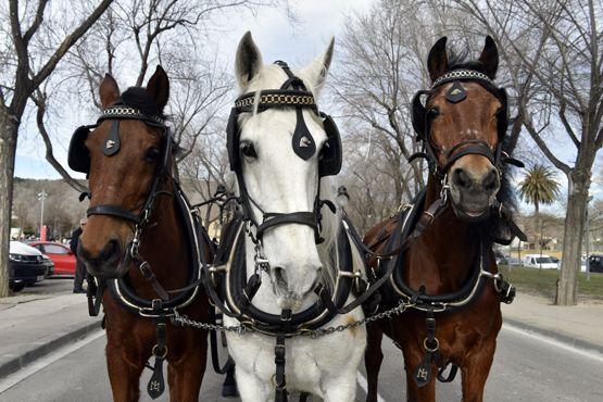 Tres Tombs a Vilafranca del Penedès