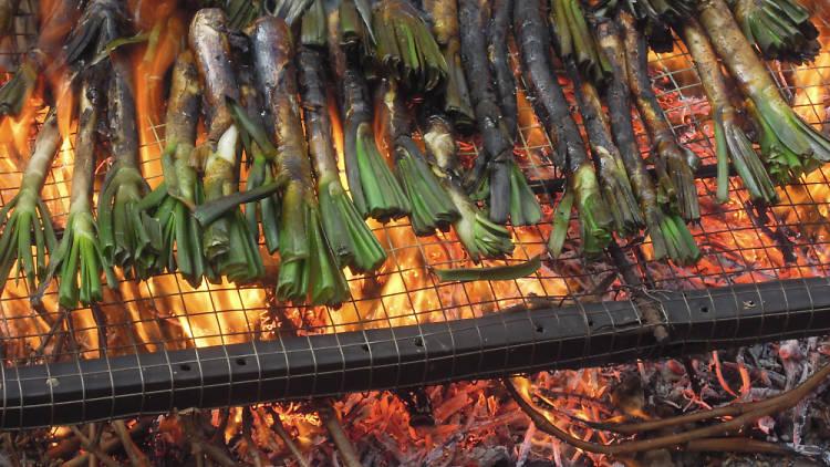 Calçots