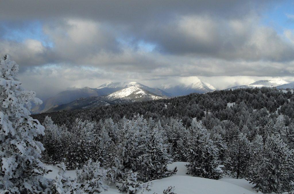 Si la Candelera ríe, el invierno és vive