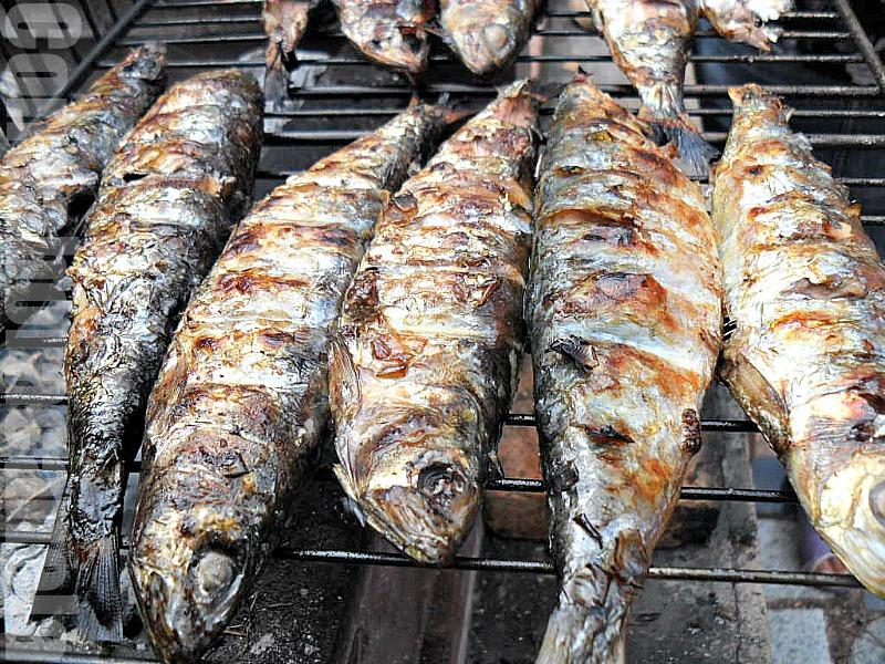 Sardinada