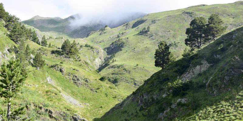 Vall de Riu Fred. FOTO: Catalunya - Palau Robert