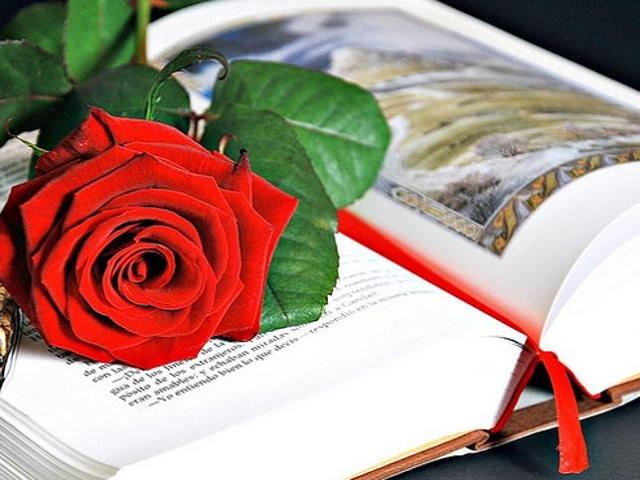 Feliç Sant Jordi Feliç Sant Jordi