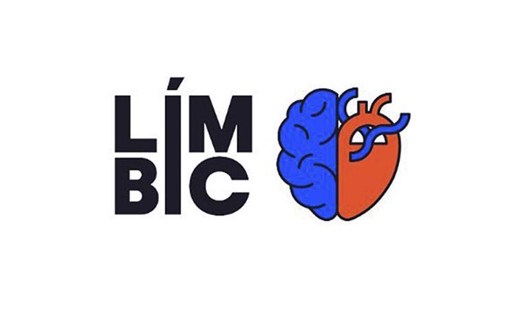 Imatge del festival Límbic
