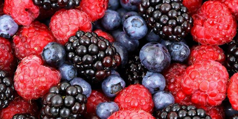 Fruites del bosc Fruites del bosc