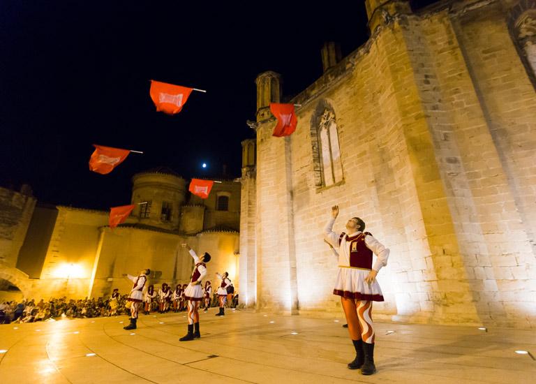 Actuació dels abanderats durant la Festa del Renaixement FOTO Tortosa Turisme