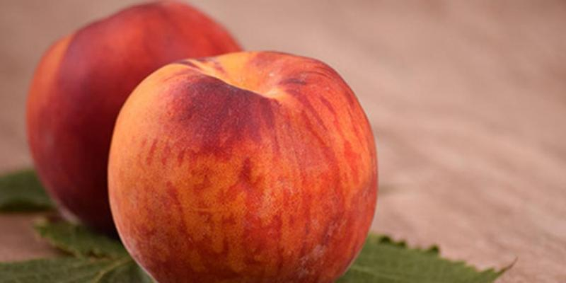 Préssecs i nectarines viuen el seu millor moment a l'agost