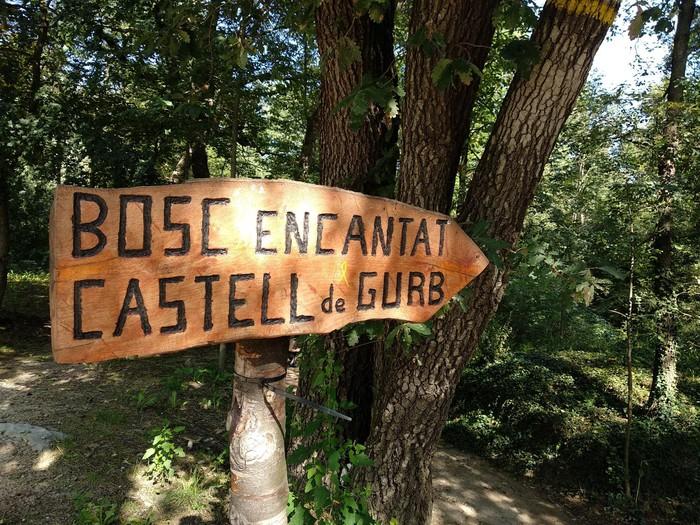 Bosc Encantat