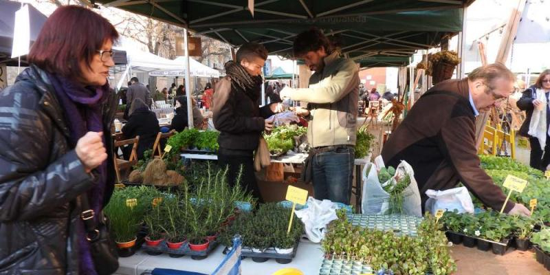 Jornada Gastronòmica de les Plantes Oblidades a Igualada FOTO Anoia Turisme Jornada Gastronòmica de les Plantes Oblidades a Igualada FOTO Anoia Turisme
