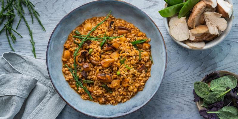 Jornades Gastronòmiques de l'Arròs d'Amposta FOTO turismeamposta