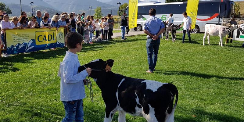 Fira ramadera de Bellver de Cerdanya FOTO bellver.org