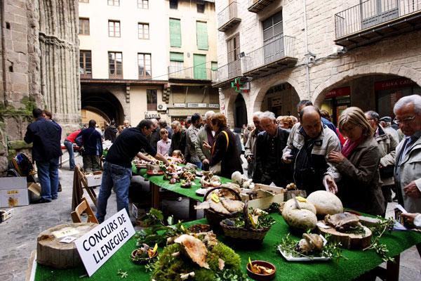 Fira de la Llenega a Cardona FOTO Cardona Turisme Fira de la Llenega a Cardona FOTO Cardona Turisme