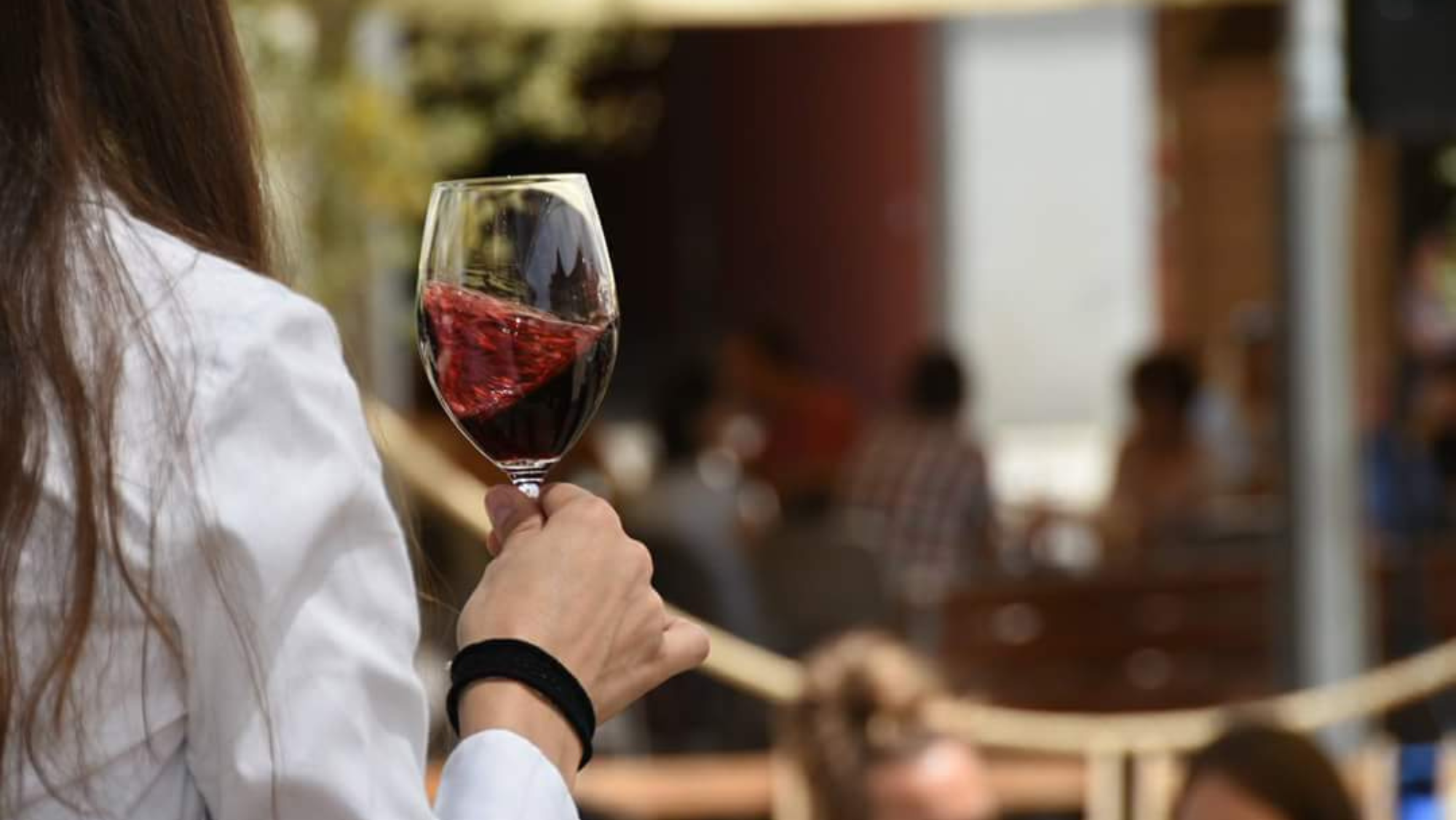 Gaudeix del vi català