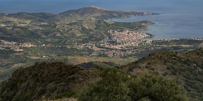 Banyuls des del coll del Suro. FOTO: Catalunya-Palau Robert Banyuls des del coll del Suro. FOTO: Catalunya-Palau Robert