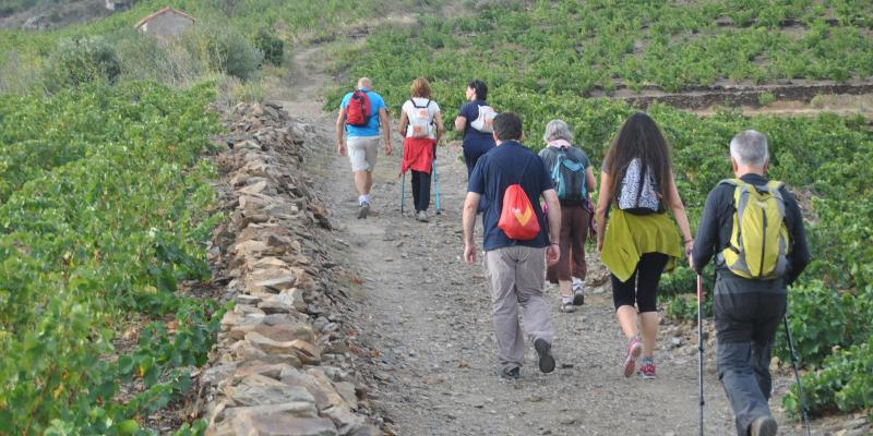 Ruta Walter Benjamin. Sortint de Banyuls. MUME Ruta Walter Benjamin. Sortint de Banyuls. MUME