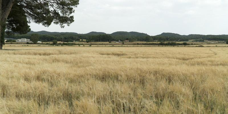 Sant Julià de Vilatorta. Pla de la Quintana. FOTO: Catalunya-Palau Robert