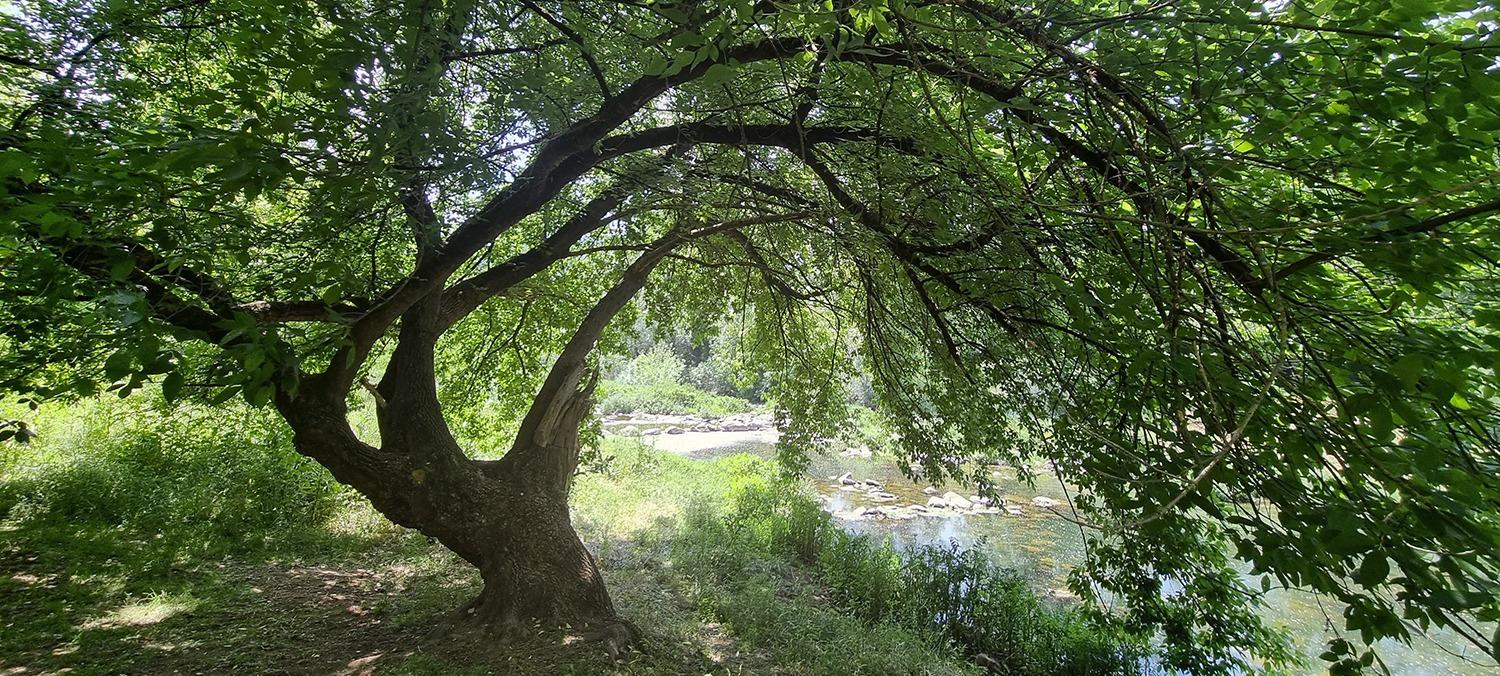 Ecosistema de benestar. Foto de Sant Jaume de Llierca. Ruta biomimètica de la Brutau. FOTO: Catalunya-Palau Robert Ecosistema de benestar. Foto de Sant Jaume de Llierca. Ruta biomimètica de la Brutau. FOTO: Catalunya-Palau Robert