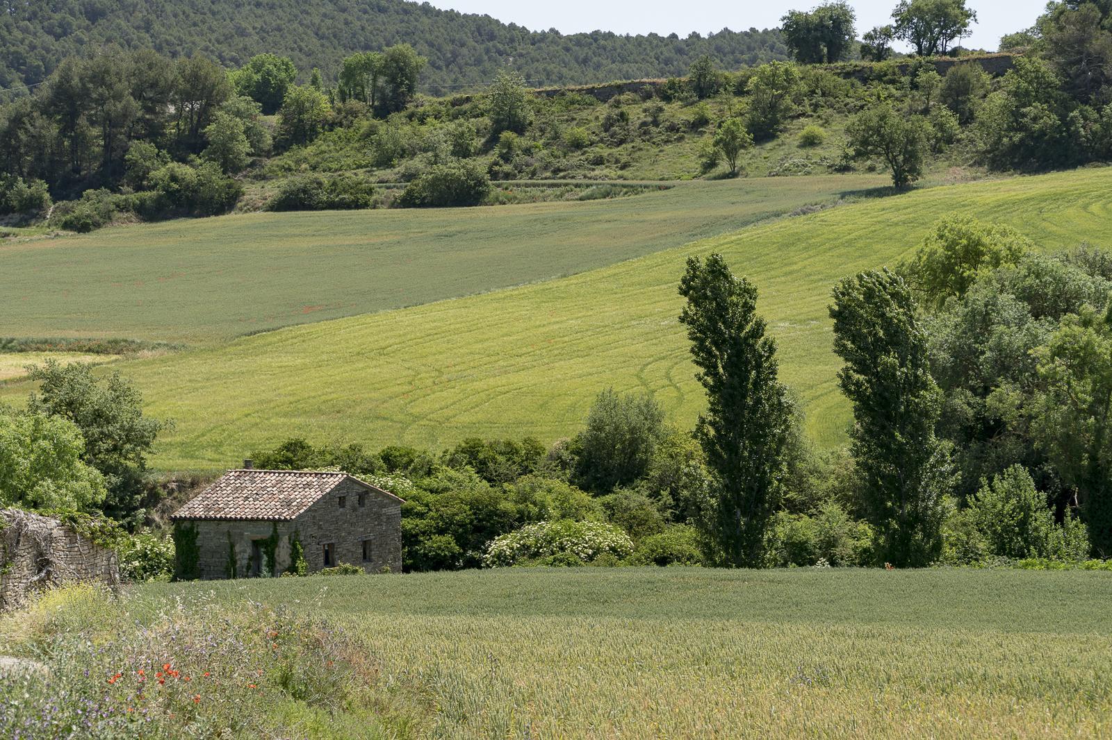 Santa Coloma de Queralt. Vall del Gaià. Molí del Sol. FOTO: Catalunya-Palau Robert