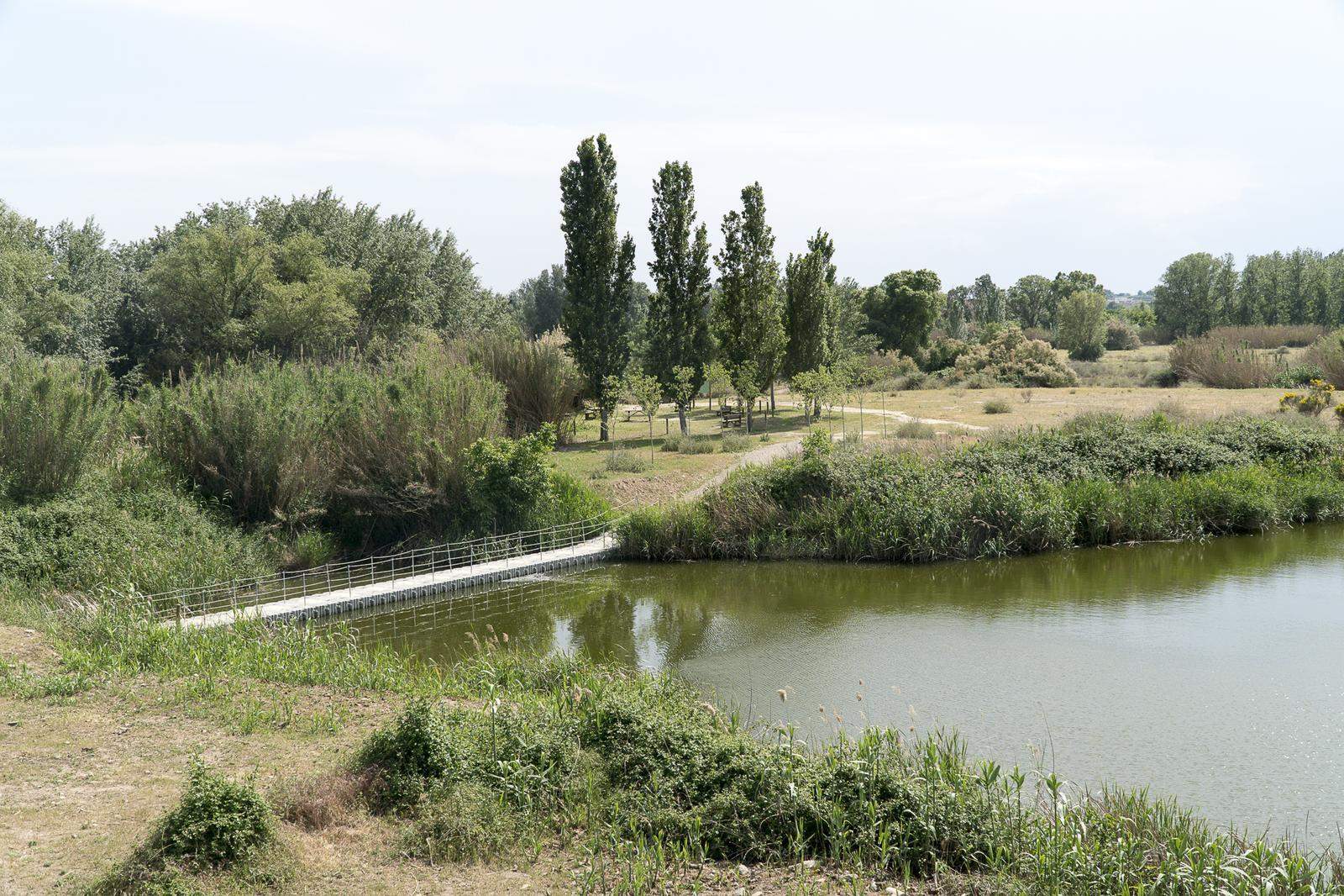 Lleida. Aiguamolls de Rufea. FOTO: Catalunya-Palau Robert Lleida. Aiguamolls de Rufea. FOTO: Catalunya-Palau Robert