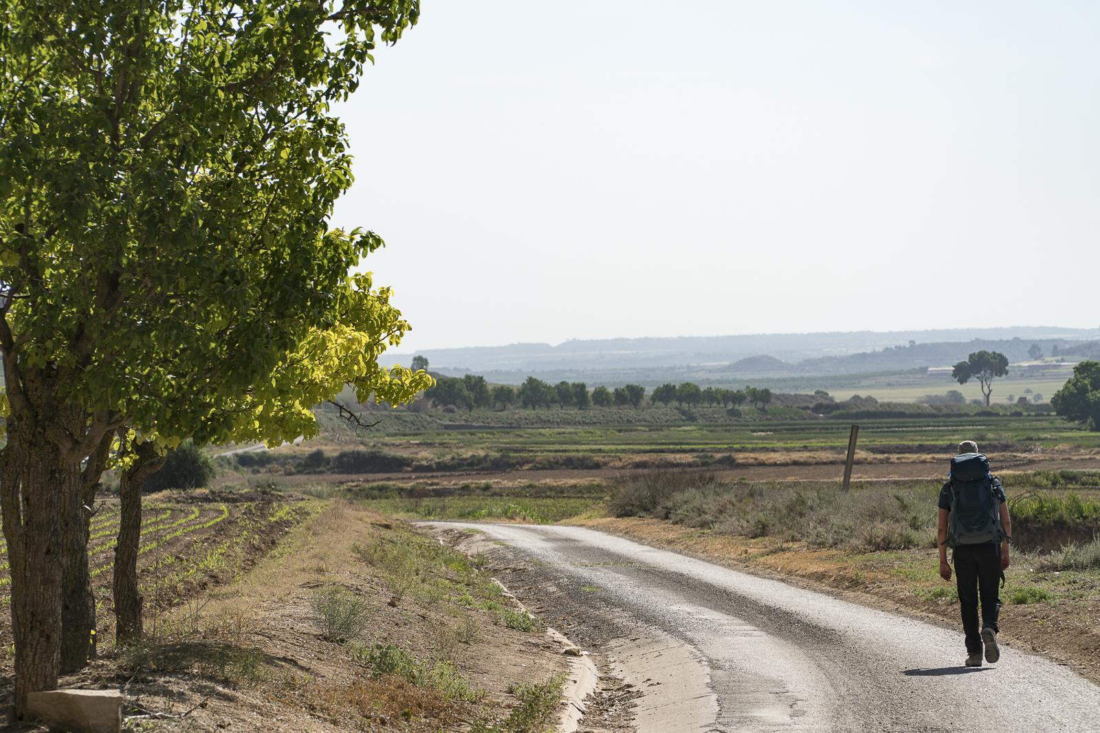 Bellpuig. Camí de Verdú. FOTO: Catalunya-Palau Robert Bellpuig. Camí de Verdú. FOTO: Catalunya-Palau Robert