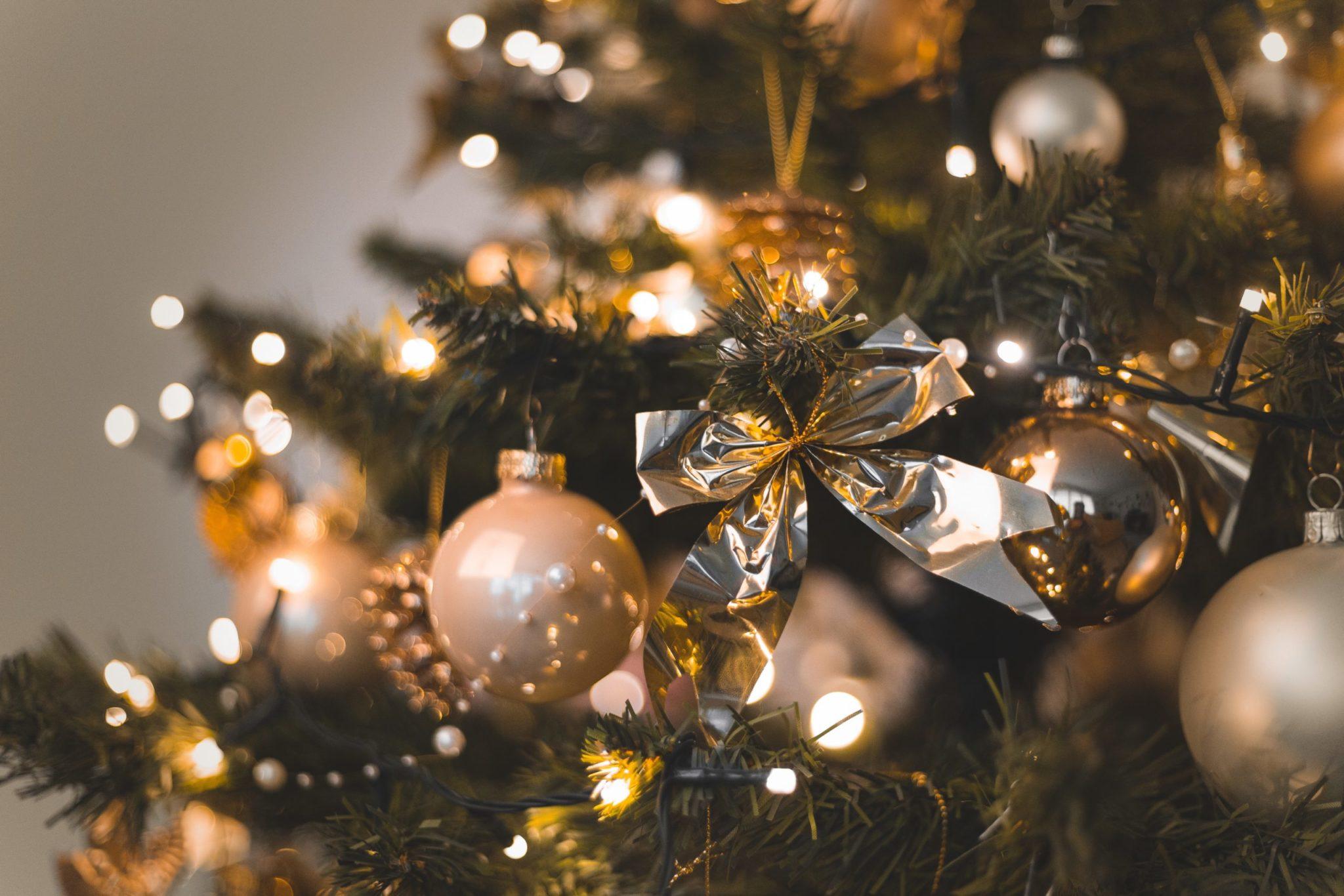 Bon Nadal! Bon Nadal!