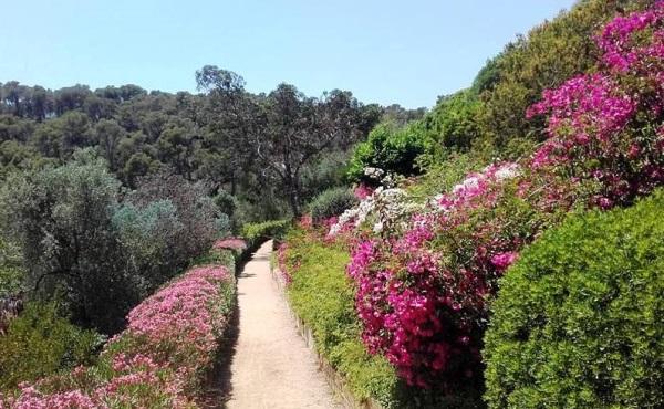 Jardí botànic de Cap Roig, Palafurgell turisme