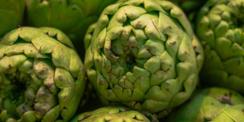 El gener és temps de carxofes El gener és temps de carxofes