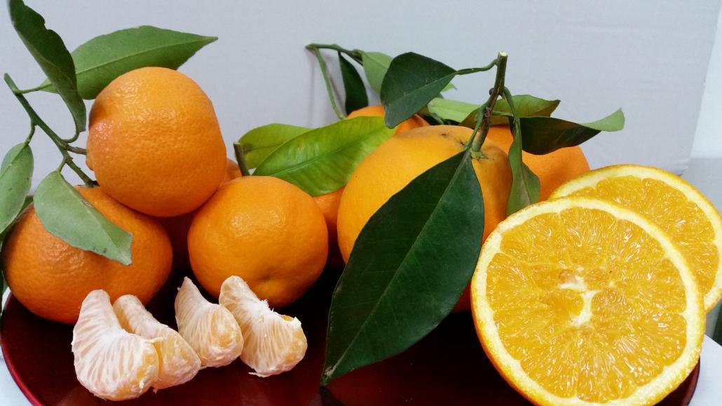 Fruites de temporada al gener