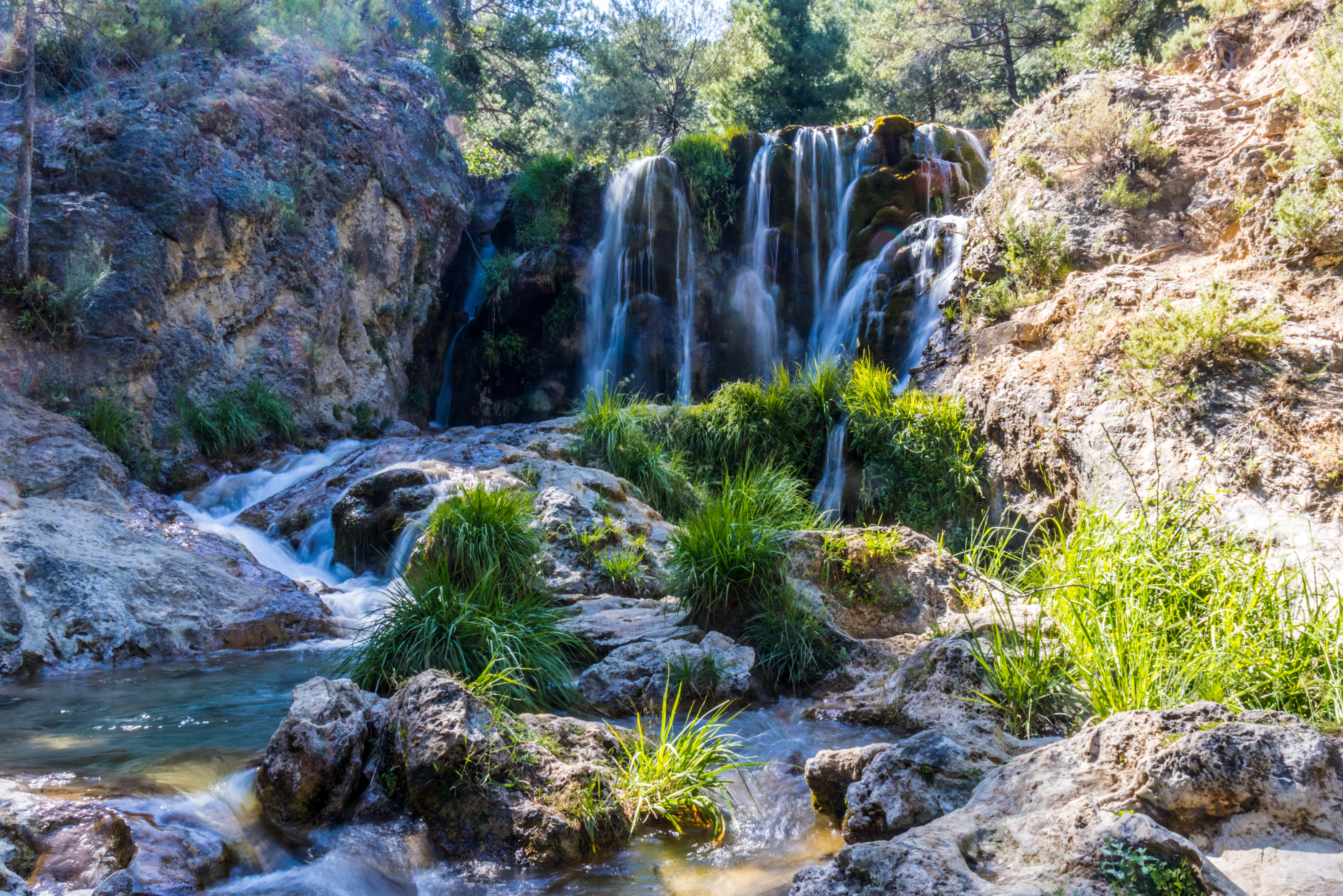 Ruta pet friendly a la Cascada de Guazalamanco