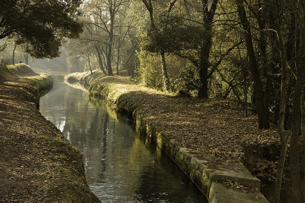 Canal de la Sèquia   Genís Sáez