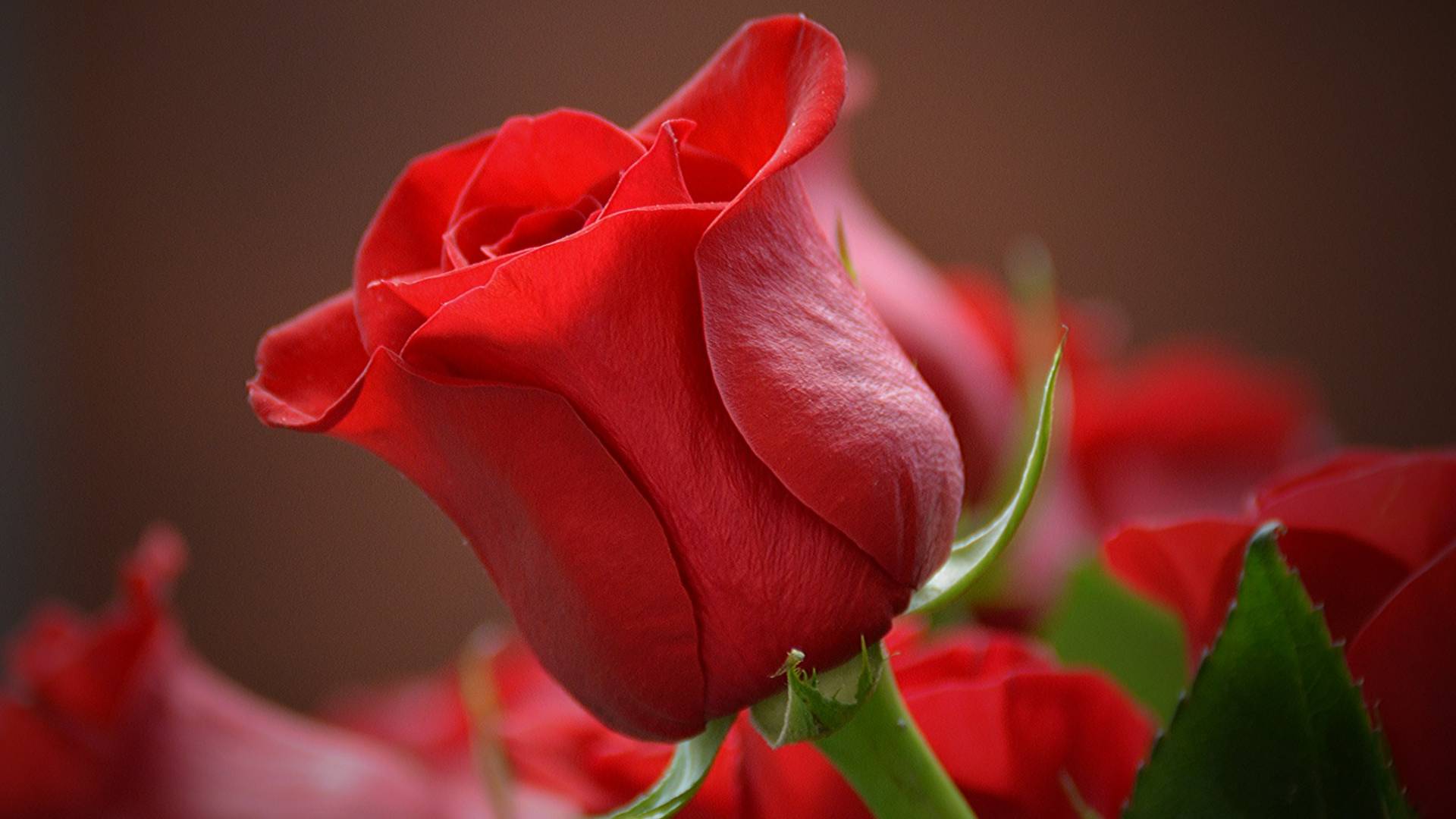 Quina és la llegenda de Sant Jordi?