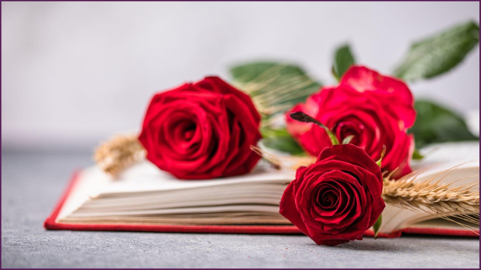 Hi ha molts poemes que parlen de Sant Jordi Hi ha molts poemes que parlen de Sant Jordi