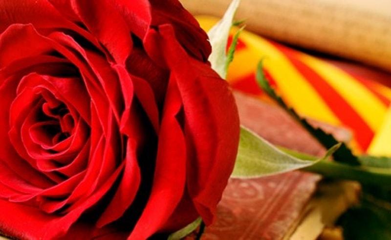 És Sant Jordi És Sant Jordi
