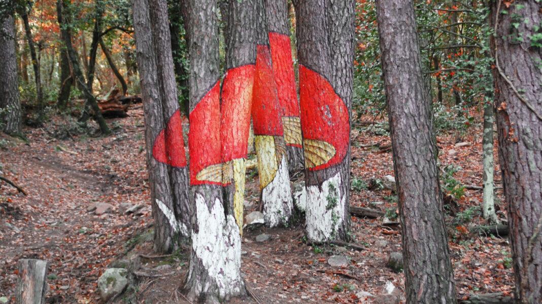 Ruta del Bosque Pintado