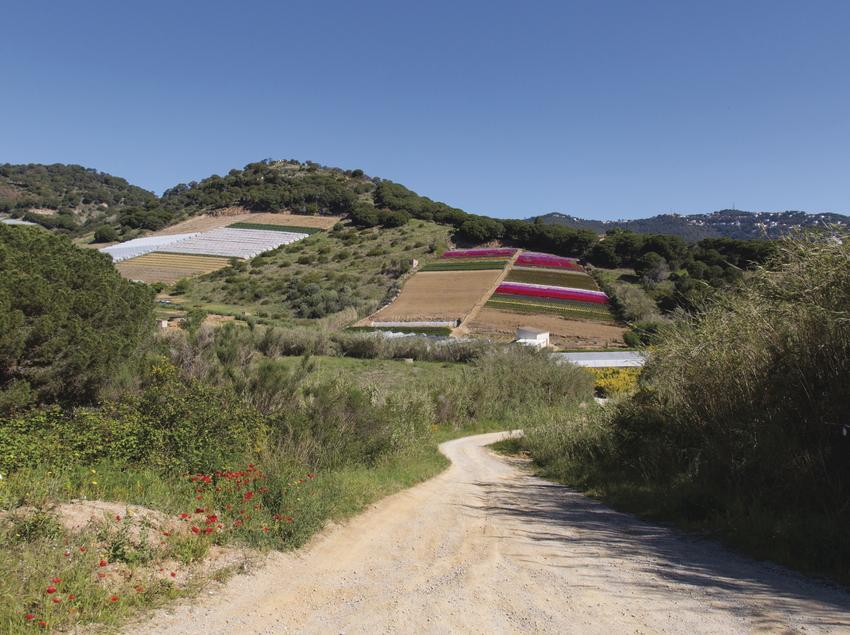 La Ruta de la Guilla   Catalunya.com La Ruta de la Guilla   Catalunya.com