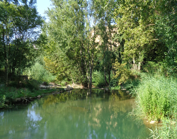 Ruta dels Molins Ruta dels Molins