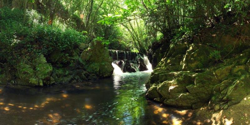 Parc Natural del Montseny FOTO La Selva Turisme