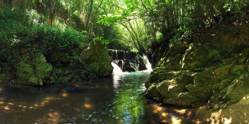 Parc Natural del Montseny FOTO La Selva Turisme Parc Natural del Montseny FOTO La Selva Turisme