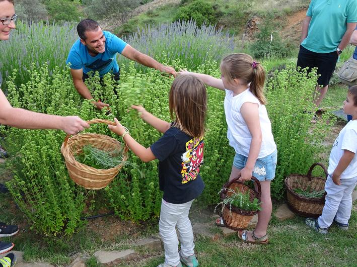 Fira de les Herbes i Flors de Muntanya FOTO Calendari ermità